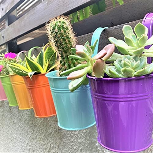 LaLaGreen Hanging Planters Outdoor -10 Pack, 6 Inch Colorful Large Metal Flower Pot, Balcony Planters Railing Hanging Herb Garden Iron Hanging Plant Buckets for Fence Rail Deck Porch Outside Wall by L%C3%A1L%C3%A1Green