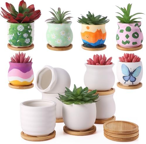 Remerry 12 Pcs 3.5 Inch Mini DIY Ceramic Succulent Pots with Bamboo Tray by Remerry