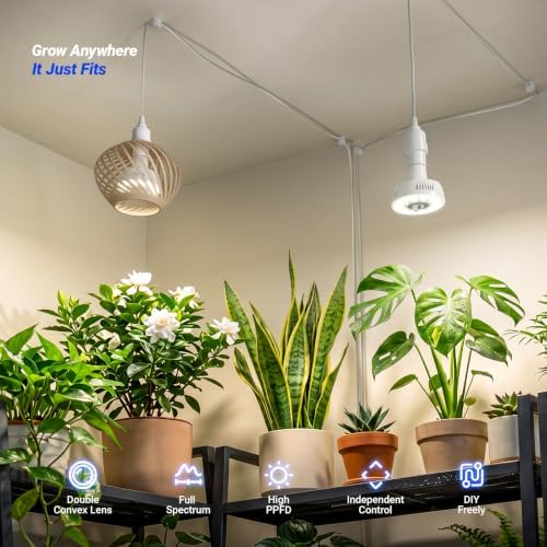Barrina Orbgrow OG11D Grow Light Bulbs with Base, 4000K 11W, 4 Packs, White - Image 5