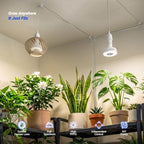 Barrina Orbgrow OG11D Grow Light Bulbs with Base, 4000K 11W, 4 Packs, White - Image 5