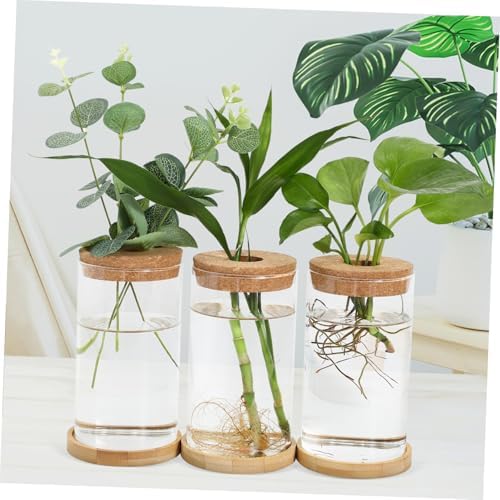 Glass Hydroponic Propagation Vase Planter for Green Radish and Plants with Tube, Design to Observe Water Levels, for Office and Home Decor - Image 4