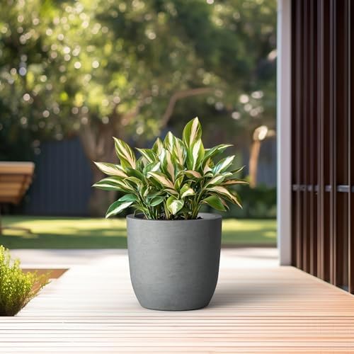 Kante Small Round Curved Pale Gray Concrete Planter 13.3" Dia, Outdoor - Image 3