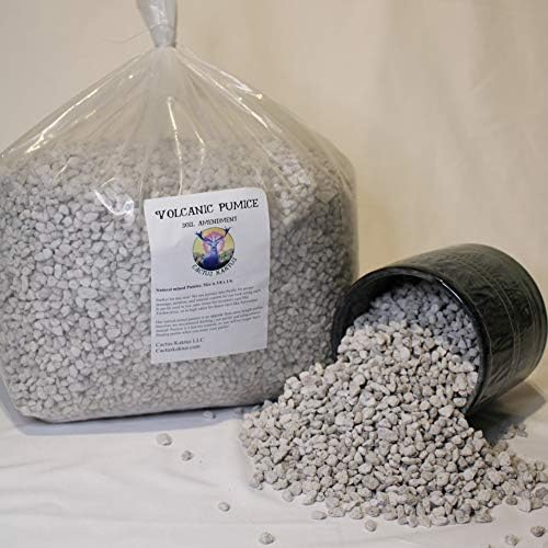 Horticultural Pumice - 14 Dry quarts - Cactus Succulent Soil Amendment - Image 2