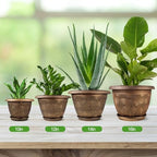 Fodetyff 14 Inch Large Planter Pot for Plants Indoor Outdoor, 4 Pack Plastic Flower Pots with Drainage Hole & Tray, Modern Decorative Garden Pot with Saucer, Plant Container for House - Image 6