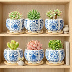 3.1 Inch Flower Pots Succulent Pots with Drainage Bamboo Tray Set of 6 - Image 6