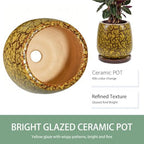 10.3 Inch Ceramic Glaze Plant Pot with Saucer, Flower Pots with Drainage Hole Mesh Net (Spot Yellow) - Image 5