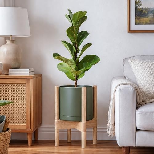 D'vine Dev Plastic Pot with Natural Wood Stand, Olive, 8 in, 55-C-J-3 - Image 4