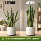 6 Pack Tall Plant Support Stakes – Peony Cages and Supports 10"W x 16"–32"H - Image 6