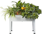 Raised Garden Bed, Garden Raised Planter Box with Legs, Galvanized Garden Planter for Herbs and Vegetables, 24" Grey by ProGard
