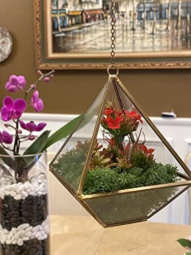 WGV Hanging Geometric Planter Terrarium Bulk Width 6" Height 8" Clear Glass Gold Frame DIY Succulent air Plant Miniature Fairy Garden Windowsill Decor Raised Pyramid 6 Pieces - Image 4