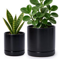 D'vine Dev 2-Pack Ceramic Pots with Saucers, Black, 4/6 in, 94-G-S-2 by DvineDevPlanterPotsandStand