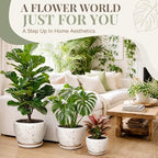 11 Inch Ceramic Plant Pot with Drainage Hole Mesh Net, Large Gardening Pots for Indoor Plants with Saucer, White Silk - Image 2
