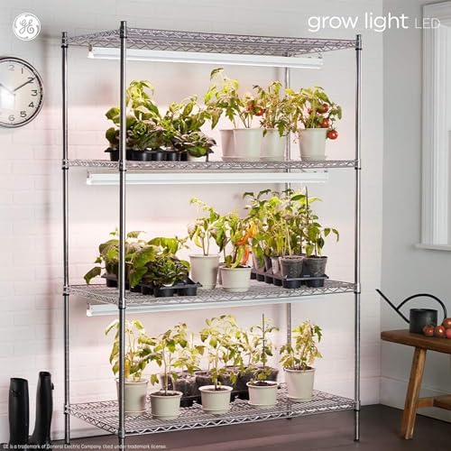 GE Grow Lights for Indoor Plants, T8 LED Light Bulbs for Flowers and Fruit with Advanced Red Light Spectrum, 25,000 Hours Lifespan, 34 PPF, 48 Inches, 6 Pack (Packaging May Vary) - Image 6