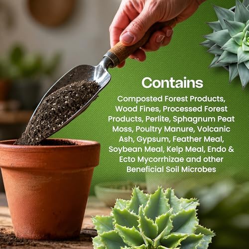 Cactus & Succulent Soil Mix, 0.5 Cu Ft - Image 4