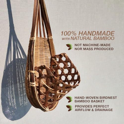 Handmade 100% Thai Bamboo 6 Inch Signature Super Sanctuary SIAM Orchid Hanging Basket with Nursery Grade Coconut Shell Staves Coir Pith Sponge & Husk Mulch - Image 4