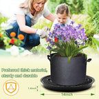 Self Watering Fabric Pot Base 14 inch, Auto Pots Fit for 5 Gallon Grow Bags - Image 5