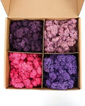 Amoueterno Preserved 4 Color Reindeer Moss,Total 14OZ Each Color 3.5OZ, Natural Real Moss, DIY Kit Crafts Art Wall Decor Florist Decor,Purple by Amoueterno