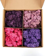 Amoueterno Preserved 4 Color Reindeer Moss,Total 14OZ Each Color 3.5OZ, Natural Real Moss, DIY Kit Crafts Art Wall Decor Florist Decor,Purple by Amoueterno