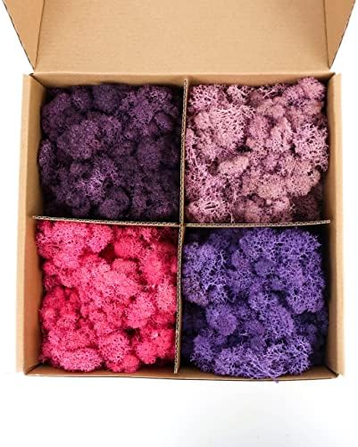 Amoueterno Preserved 4 Color Reindeer Moss,Total 14OZ Each Color 3.5OZ, Natural Real Moss, DIY Kit Crafts Art Wall Decor Florist Decor,Purple by Amoueterno