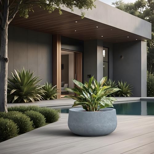 Kante 19.7 Inch-Dia Round Concrete Bonsai Planter with Drainage Hole, Large Plant Pot for Indoor Outdoor Plants, Suitable for Patio, Garden, Home, Slate Gray - Image 3