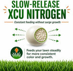 10-0-20 Emerald Lawn Fertilizer 25lbs - Slow-Release Nitrogen, Iron, & Micronutrients - Dark Green Lawn for Tall Fescue, St. Augustine, Zoysia, Centipede - Image 5