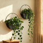2-Piece Black Metal Planter Wall Hanging Baskets Decor Half-Moon Wall Mount Planter Set for Shabby Chic Farmhouse Outdoor Indoor Wall Decor by Unknown