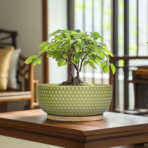 Bonsai Planter - 8 Inch Ceramic Succulent Pots with Drainage Hole and Saucer for Indoor Plants, Boho Shallow Round Planter Bowl, Desk Decor, Garden Lover Gifts, Green - Image 2