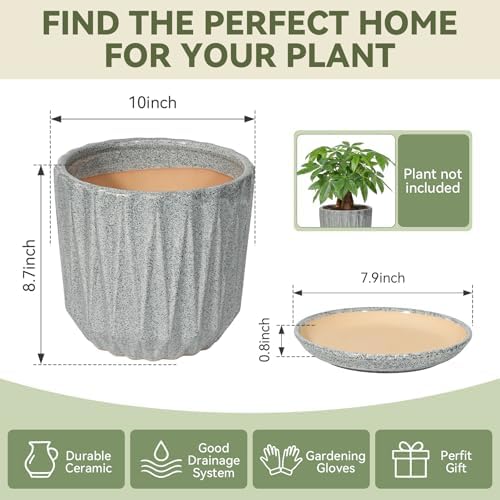 10 Inch Ceramic Planter Pot with Saucer Drainage Leak-Proof Mesh,Flower Pots for Indoor Plants with Gardening Gloves,Ceramic Planter(Stone Grey) - Image 6