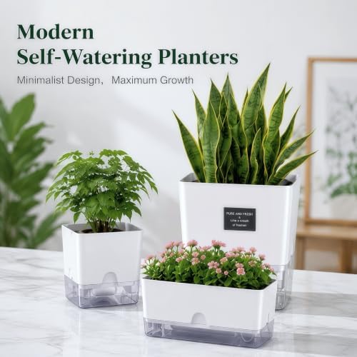 FAMZ Self Watering Pots for Indoor Plants 4 Pack White Self Watering Planters with Water Reservoir and Cotton Wick System, Bottom Watering Plant Pots for African Violet Herbs Small Indoor Plants - Image 4