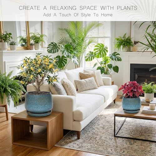 10.3 Inch Ceramic Planter with Saucer,Modern Garden Pots with Drainage Hole Mesh Net, for Indoor Outdoor Use(Crackle Blue) - Image 2