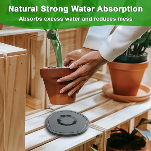6 8 10 Inch 6 Pack Diatomite Plant Saucers for Indoors, Plant Drip Tray - Image 4