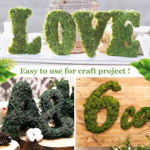 Riare 2.6LB Natural Moss Artificial Fake Moss Alternative for Plants Indoor - Image 6
