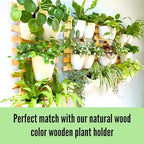 LaLaGreen Wall Planter for Indoor Plants (5in, 10 Pack) White Self-Watering - Image 4