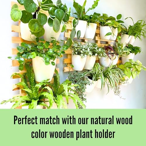LaLaGreen Wall Planter for Indoor Plants (5in, 10 Pack) White Self-Watering - Image 4
