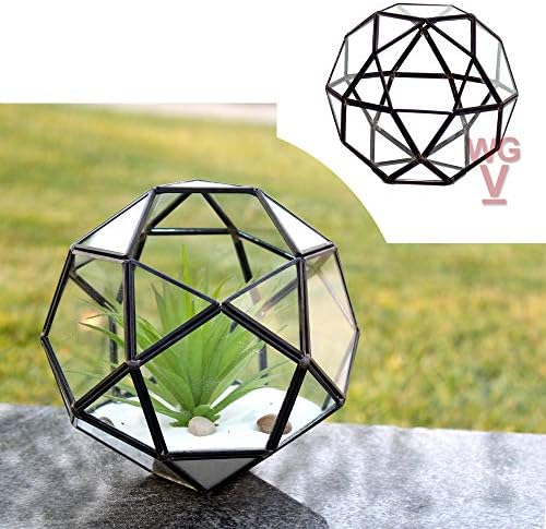 WGV Geometric Planter Terrarium Bulk, Width 7" Height 6.7" Clear Glass Black Frame DIY Succulent air Plant Miniature Fairy Garden Windowsill Tabletop Decor, Globe Ball 4 Pieces - Image 5