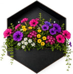 RAZ Imports Urban Collection Wall Planter Box Rustic Metal Hanging Hexagon Succulent Cactus Air Plant Decorative Indoor or Outdoor 9.5" - Image 4