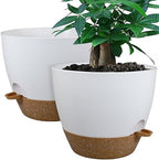 UOUZ 12inch 2Pack Large Self Watering Planters, Plastic Plant Pots with 60oZ Removable Deep Reservoir and Multi Mesh Drainage Holes for Indoor Outdoor Garden Plants and Flowers, White with Brown by UOUZ