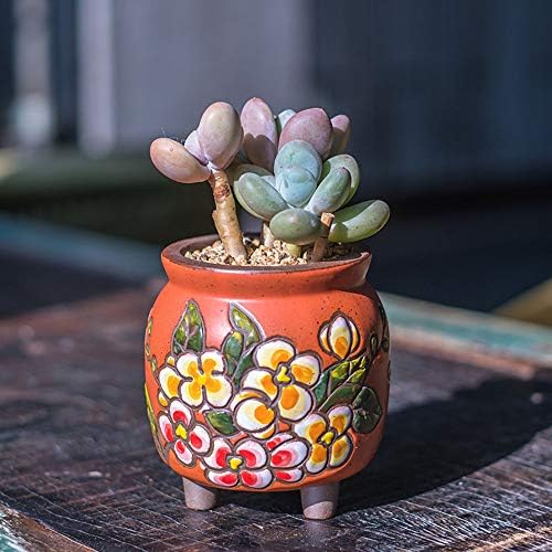 3 Inch Hand Painted Succulent Cactus Plant Pot Clay Flower Pot Planter Container Floral Design with Drainage Hole Bamboo Trays Pack of 4 (Pear Blossom) - Image 6