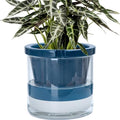 D'vine Dev Self-Watering Blue Terracotta Planter Pot, 10 in, 37-X-D-4 by DvineDevPlanterPotsandStand