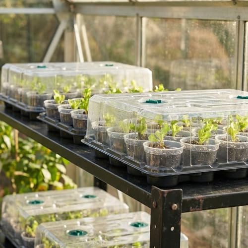 homenote 4 Pack 20 Cell Seed Starting Trays with 4 Vented Humidity Domes - Image 5