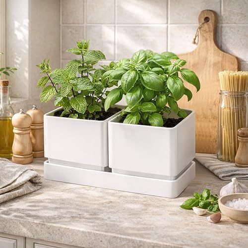 D'vine Dev 2-Pack Herb Garden Planter Set with Saucer, White, 76-Q-A-2 - Image 2