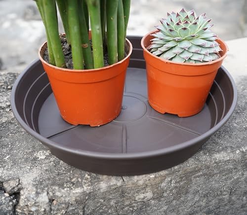LWALRS Plant Saucer 14 Inch 4 Pack 6 8 10 12 14 16 18 20 25, Plastic Plant Trays for Pots，Extra-Deep Plant Water Dray Tray, Bird Bath Bowl, Heavy Flower Plant Saucers Indoors and Outdoor No Holes - Image 5