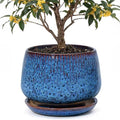 10.3 Inch Ceramic Planter with Saucer,Modern Garden Pots with Drainage Hole Mesh Net, for Indoor Outdoor Use (Speckle Blue) by Unknown