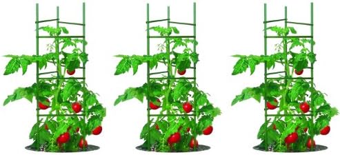 Gardener's Blue Ribbon 3-Pack Ultomato Tomato Plant Cage, Black, Model Number: TMC3PACK by Gardener%27s+Blue+Ribbon