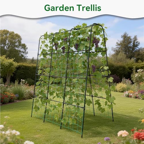 Cucumber Trellis for Raised Bed with Plastic Coated Steel Pipe-63"*50",Blk - Image 7
