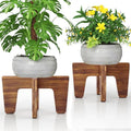 Plant Stands Indoor Outdoor, Plant Risers for Inside Pots Sturdy Short Plants Holder, Flower Pot Stand for Indoor Plants, Small Single Floor Plant Bamboo Display Stand (Brown 12“ (2 pack)) by Letyourd%C3%A9cormoreglamorous