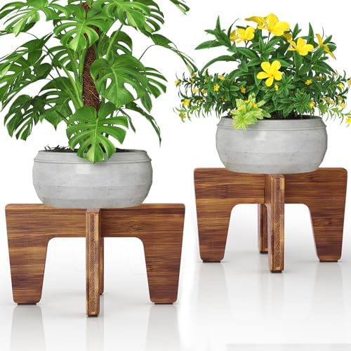 Plant Stands Indoor Outdoor, Plant Risers for Inside Pots Sturdy Short Plants Holder, Flower Pot Stand for Indoor Plants, Small Single Floor Plant Bamboo Display Stand (Brown 12“ (2 pack)) by Letyourd%C3%A9cormoreglamorous