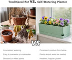 Party Zealot Window Boxes Planters, 5 Pack Self Watering Pots for Indoor Plants 17 Inch Rectangular Planter Rectangle Flower Pots Long Plant Pot Large Window Sill Herb Planter Box, Green - Image 6