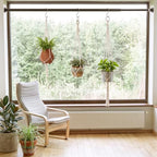 22 Pcs Window Hanging Plant Holder Set Boho Hoom Decor, No Drilling - Image 3