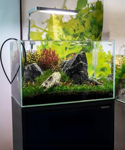 SubstrateSource Natural Aquarium Stones - Soft Grey to Bluish-Grey w/Subtle White Veins - Iwagumi Aquascaping Rocks, Freshwater Tanks, Betta Fish Tank, Shrimp, Cichlids - Boutique Seiryu, 10 LB - Image 7